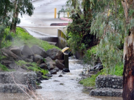 Gilroy Deluge Continues