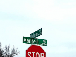 Town Hall meeting on Welburn Avenue traffic changes