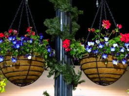 Sponsors sought for hanging flower baskets downtown