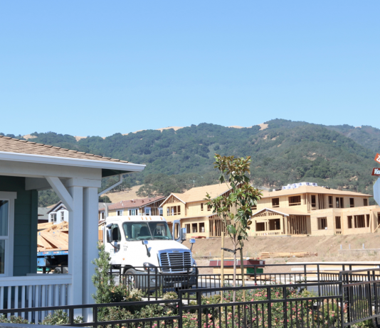 More Hecker Houses; Save the Arts