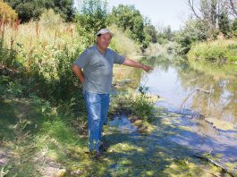 Six decades of water down the drain