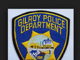 Theft, hit and run, dog bite, seizure