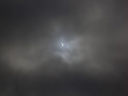 Eclipse at the library, mostly a bust