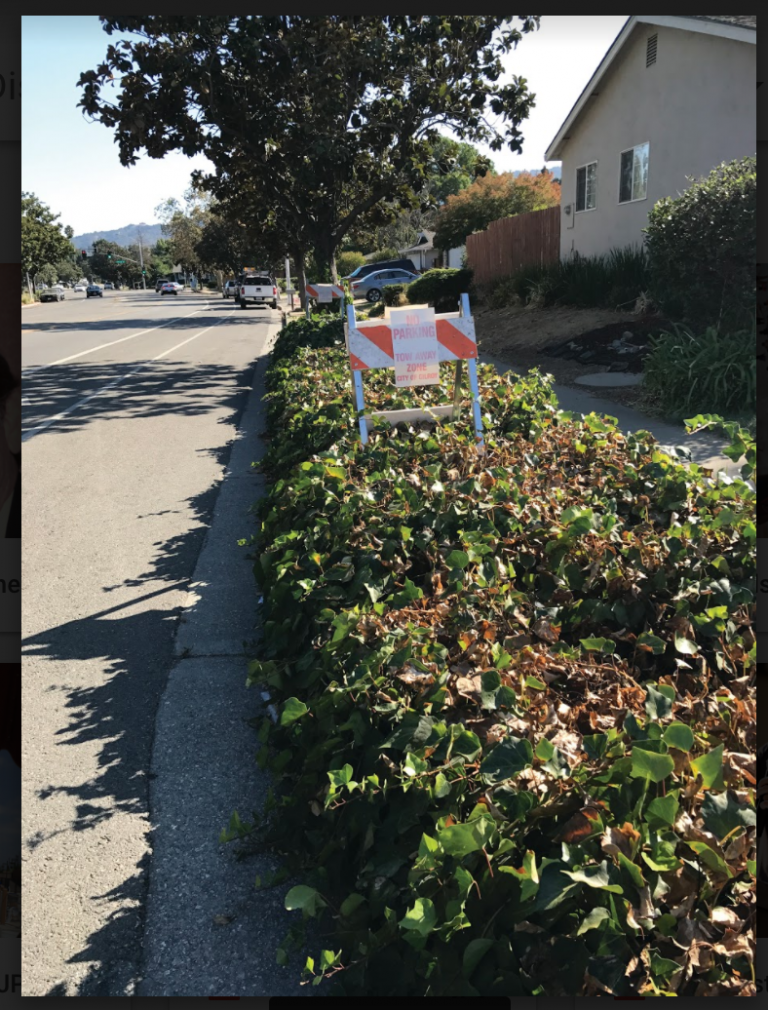 Ivy blocking the view and cell tower