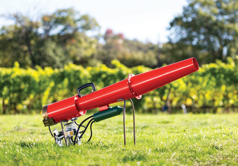 Sounds like the Fourth of July every day