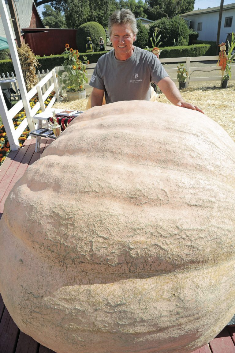 Santa Rosa man claims great pumpkin