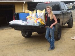 San Martin horse rescue delivers supplies for Wine Country fires