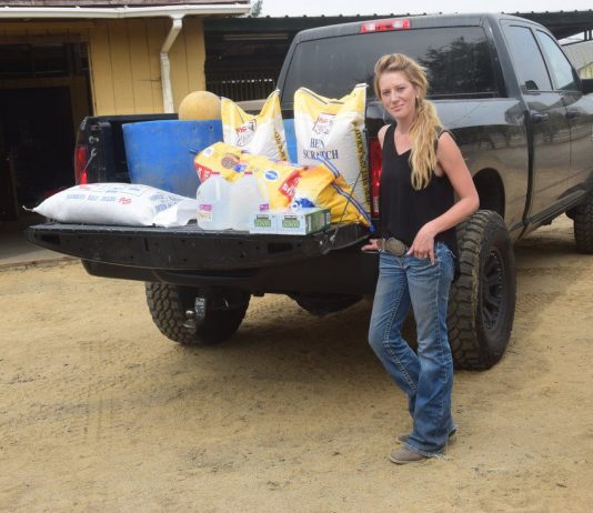 San Martin horse rescue delivers supplies for Wine Country fires