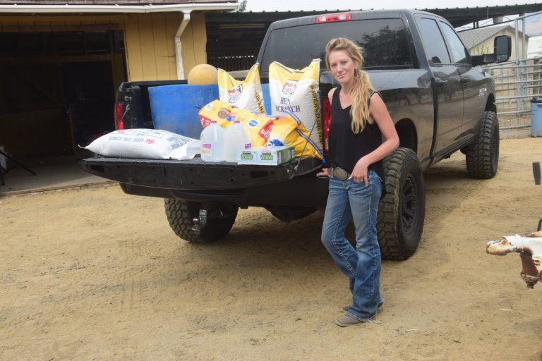 San Martin horse rescue delivers supplies for Wine Country fires