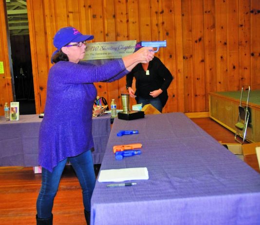 Hollister Gun Show obeys law, bans new firearms