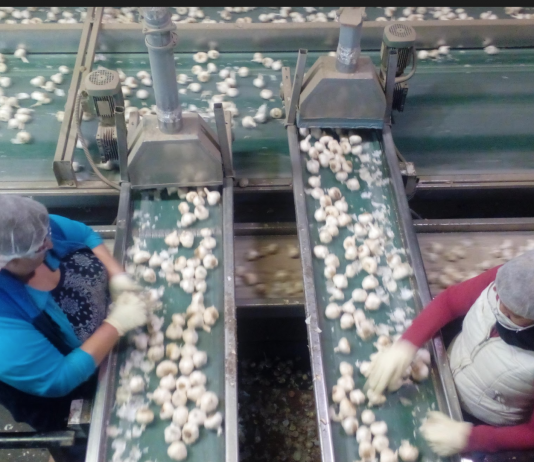 Christopher Ranch disputes accusations in Netflix show