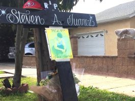 Police report many Chestnut Street calls