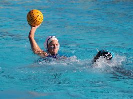 Gilroy water polo building success