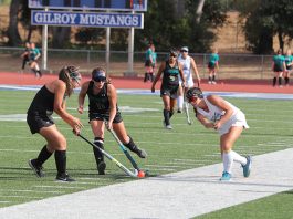 Gilroy sets the standard in South Valley