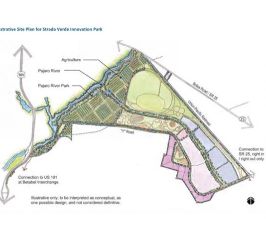 Developer to make decision soon on Strada Verde