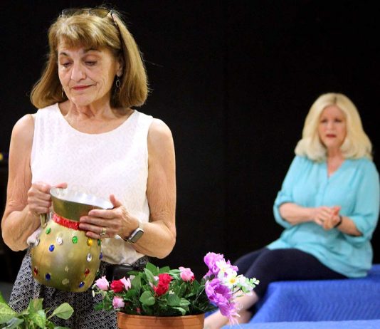 Limelight theater returns to action with ‘Ripcord’