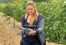 denise russell cottage creek winery cabernet sauvignon grapes