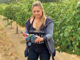 denise russell cottage creek winery cabernet sauvignon grapes