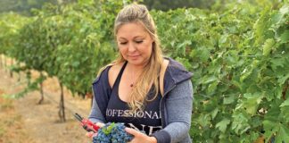 denise russell cottage creek winery cabernet sauvignon grapes