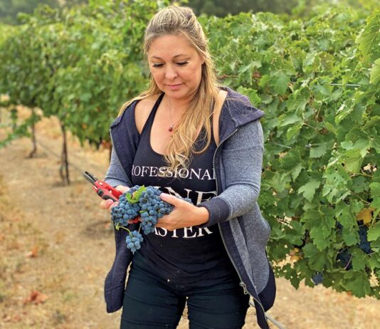 denise russell cottage creek winery cabernet sauvignon grapes