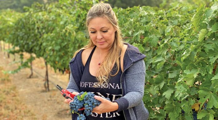 denise russell cottage creek winery cabernet sauvignon grapes
