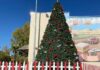 christmas tree holiday downtown gilroy fifth street lighting