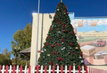 christmas tree holiday downtown gilroy fifth street lighting