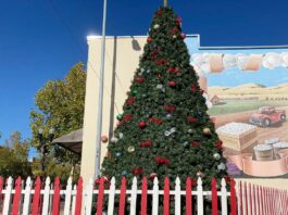 christmas tree holiday downtown gilroy fifth street lighting