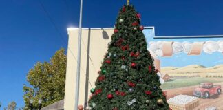 christmas tree holiday downtown gilroy fifth street lighting