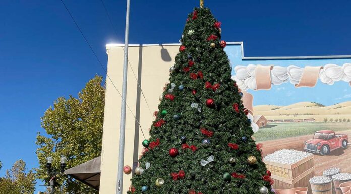 christmas tree holiday downtown gilroy fifth street lighting