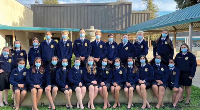 gilroy ffa future farmers of america