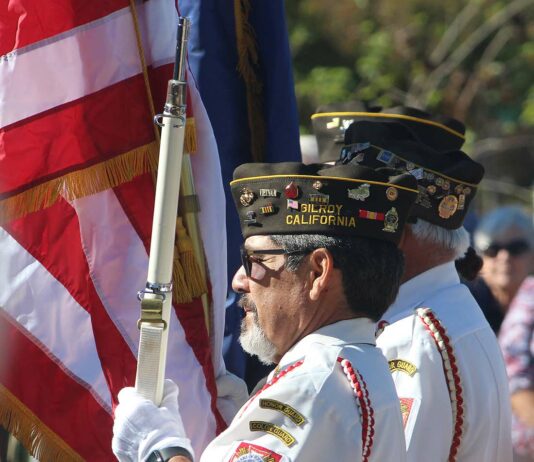 Local Scene: Veterans Day events return to downtown veterans day vfw post 6309 color guard