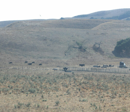 Human rights commission opposes Sargent Mine