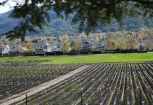 hecker pass highway third street homes syngenta flowers