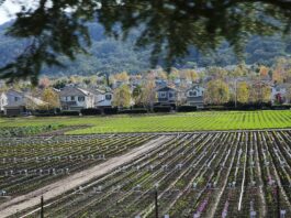 hecker pass highway third street homes syngenta flowers