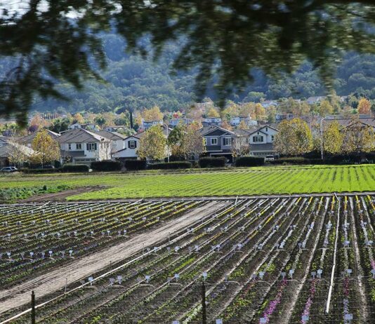 hecker pass highway third street homes syngenta flowers