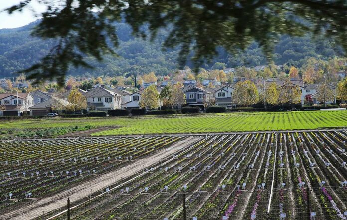 hecker pass highway third street homes syngenta flowers