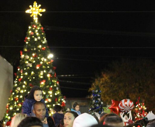 christmas tree downtown gilroy holiday parade