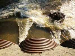 Gilroy’s rainfall doubles in 2021, but only hits average total uvas creek miller avenue silva's crossing flooding christmas hill park