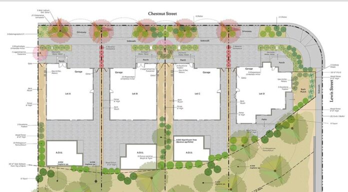 lewis chestnut street homes