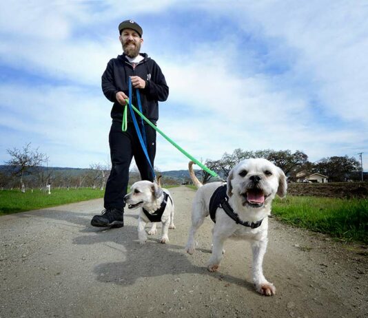 adopt my block daniel martinez dog rescue