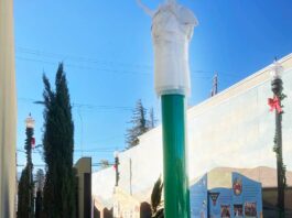 el camino real bell downtown gilroy paseo