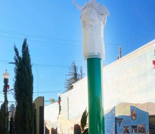 el camino real bell downtown gilroy paseo