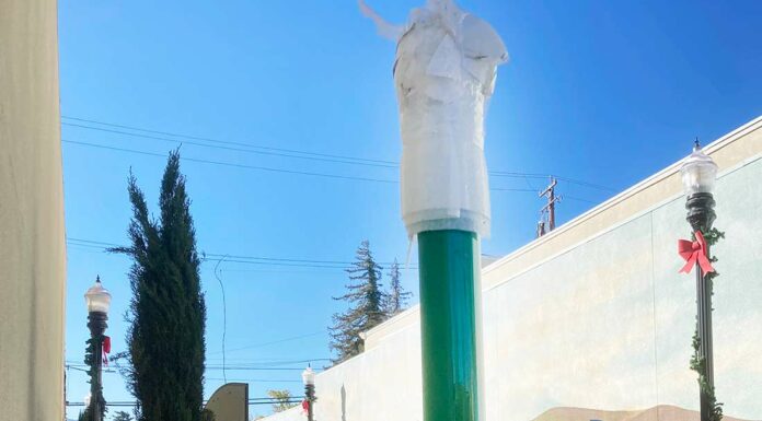 el camino real bell downtown gilroy paseo