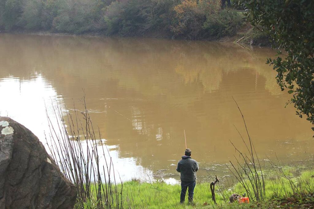 uvas reservoir morgan hill fishing