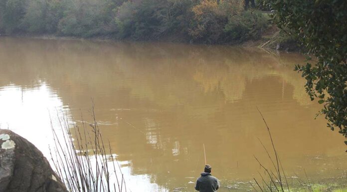 uvas reservoir morgan hill fishing