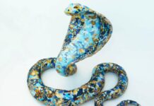 yulia shtern kara the cobra