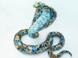 yulia shtern kara the cobra