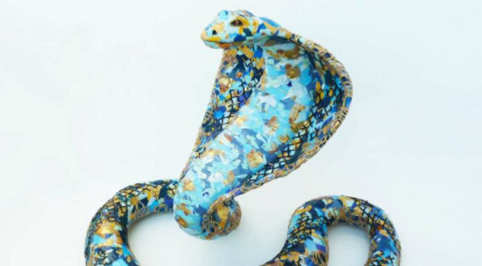 yulia shtern kara the cobra