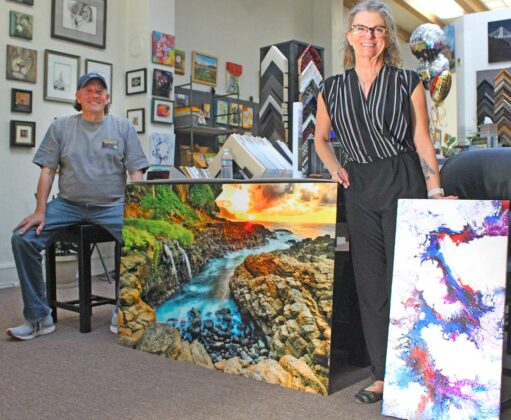 Jeff Bentz Dee Dee Torre Leedo Art & Framing downtown gilroy third friday art walk